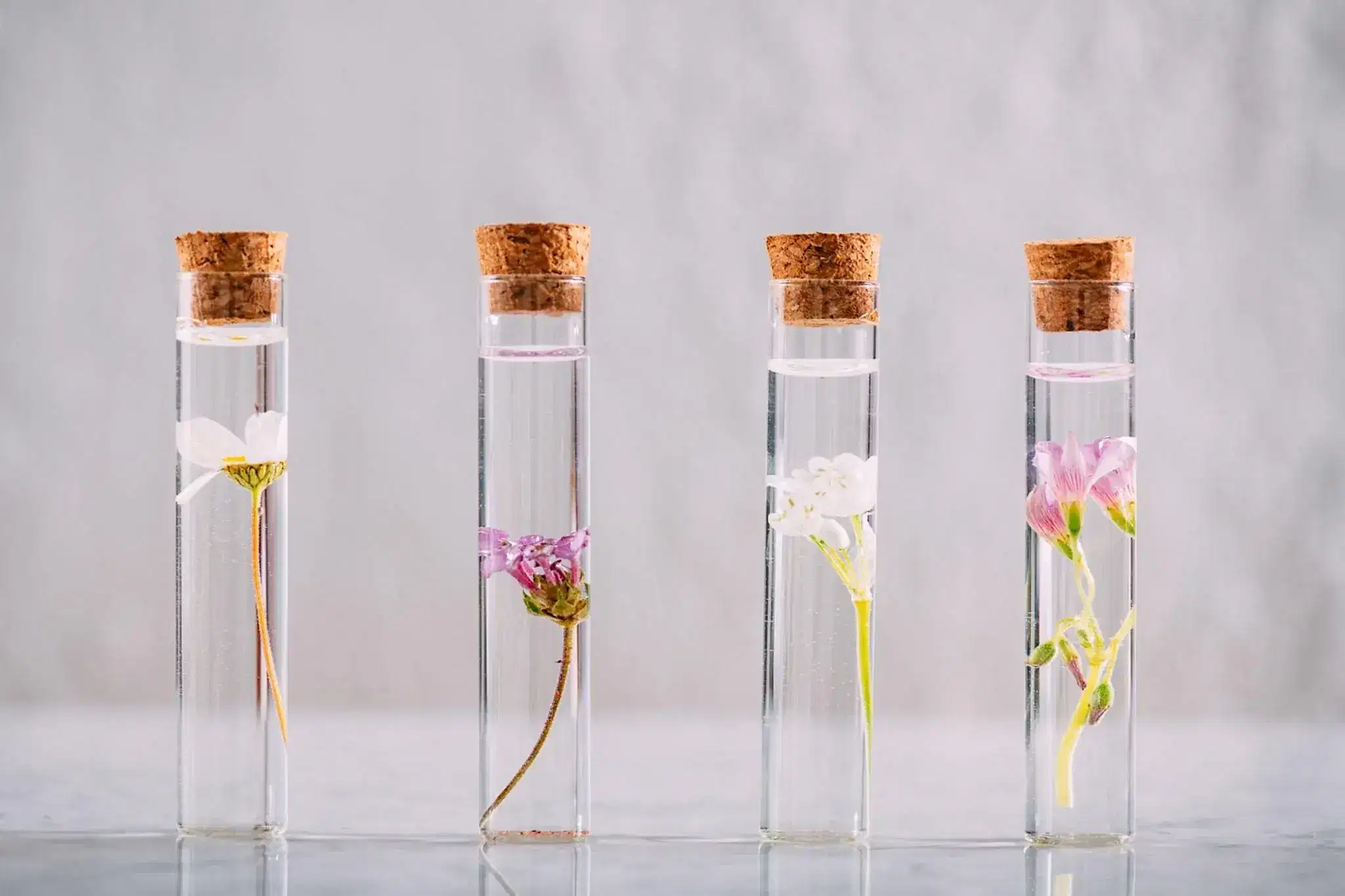 Aromaterapi Nedir? Aromaterapi Nasıl Yapılır? image